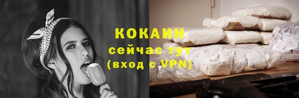 амф Гусев
