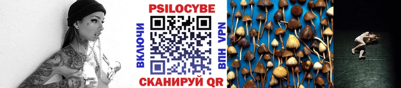 ссылка на мегу сайт  darknet официальный сайт  Ермолино  Псилоцибиновые грибы Cubensis  где можно купить наркотик 